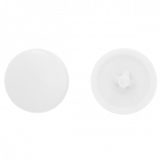 AFDEKKAP PZ 2 (12MM) R9010